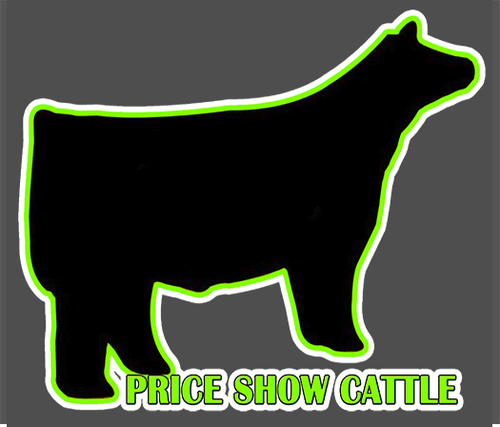 Price Show Cattle