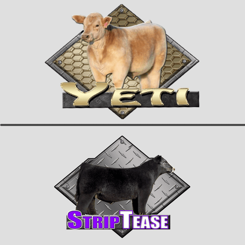 StipTease Yeti Decals